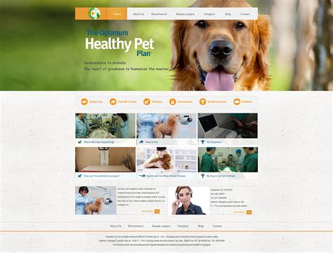 宠物医院网站模板整站源码-MetInfo响应式网页设计制作