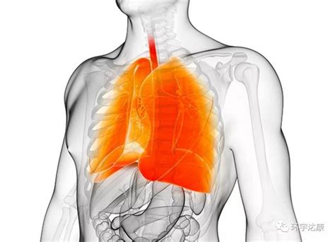 肺癌治疗进入3.0时代：奥希替尼正式获批中国EGFR突变晚期非小细胞肺癌的一线治疗-快讯-转化医学网-转化医学核心门户