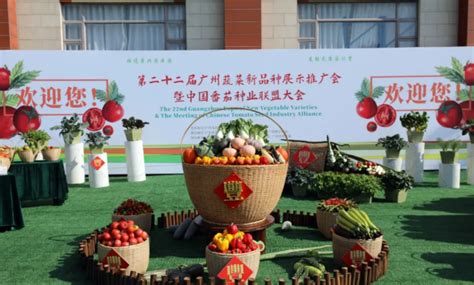 番茄展示品种达781个，第22届广州蔬菜新品种展示推广会举行