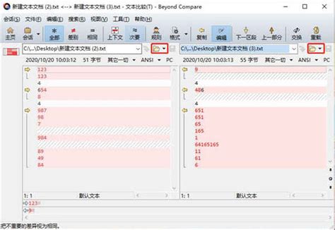 bcompare中文绿色版下载-bcompare中文绿色最新版v4.2.4下载-速彩下载站
