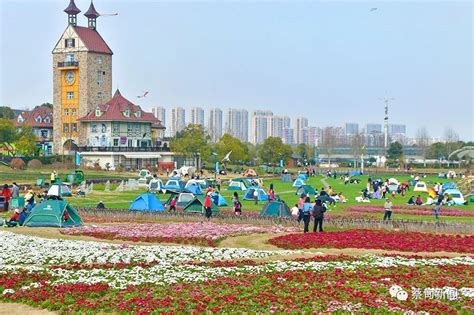 湖北武汉：蔡甸区将打造全域旅游大景区-武汉市农业农村局