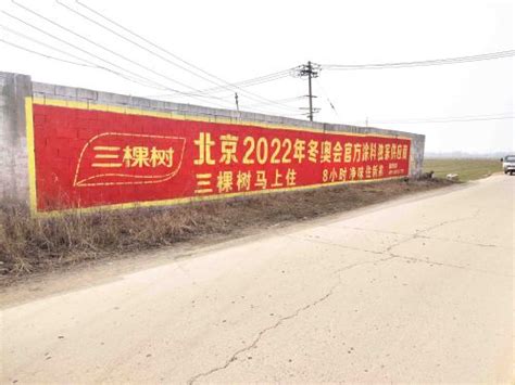 榆林市米脂县：电商经济让农产品借势腾飞 - 丝路中国 - 中国网