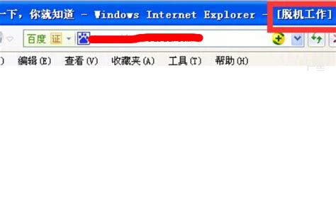 IE11浏览器怎么把英文设置为中文_word文档在线阅读与下载_免费文档