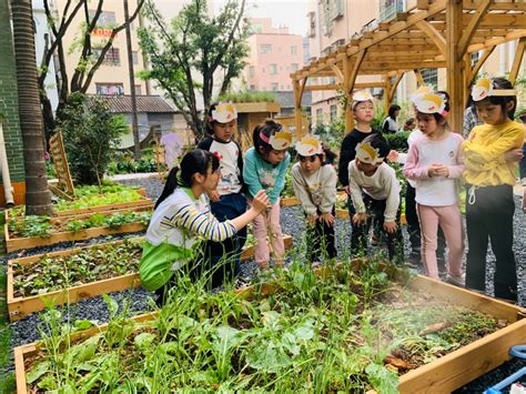 广州全国首推“城市小菜园”！让家庭种菜像种花般普及_种植