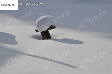 雪乡的雪蘑菇高清图片下载_红动网