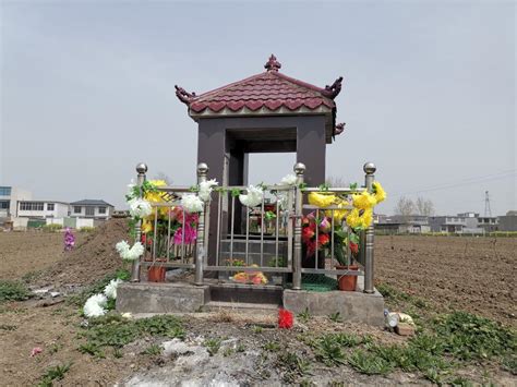 麦田“长”出豪华墓，农村公益性墓地建设需有序推进 ---安徽新闻网