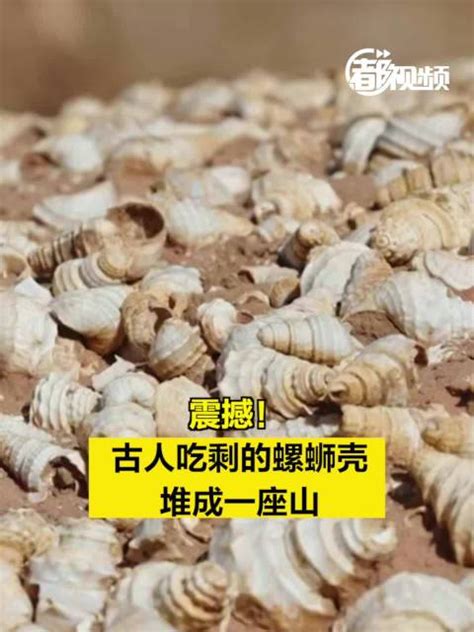 古人吃剩的螺蛳壳堆成一座山 云南遗址下埋着6.5米厚的螺蛳壳_梨抖网