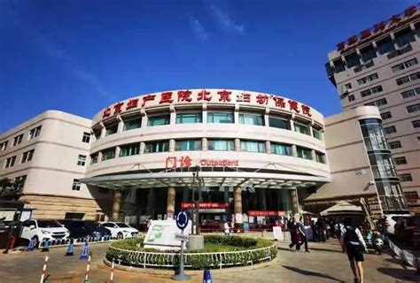 北京妇产医院协同办公系统
