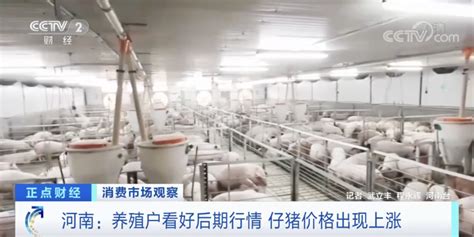 2020年05月29日猪价——最新生猪价格_凤凰网视频_凤凰网