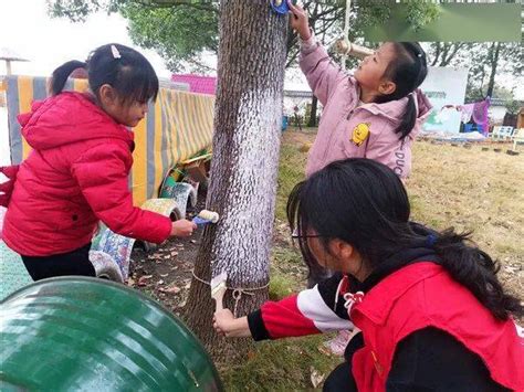 特殊的劳动者 | 树木“医生”：给大树体检疗伤的人-千龙网·中国首都网