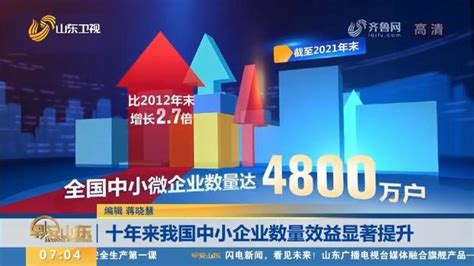 2017年中国中小工业企业运行报告