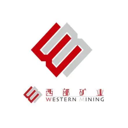 西部矿业简介-西部矿业成立时间|总部|股票代码-排行榜123网