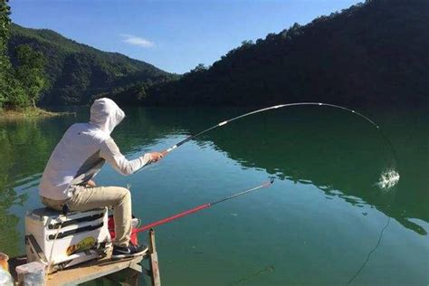 夏季钓鱼选塘与垂钓技巧分享（下）_钓鱼人必看