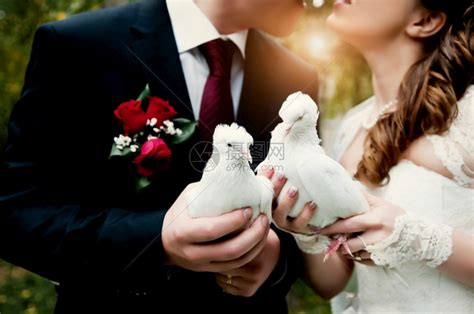 鸽派新娘外部婚夫妇拿着一对白鸽婚礼新夫妇拿着一对白鸽婚礼高清图片下载-正版图片307854904-摄图网
