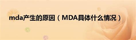 MDA原理与应用培训-火龙果软件