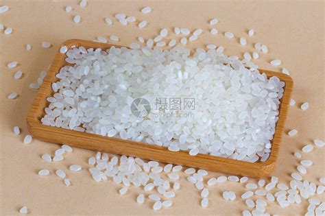 东北珍珠大米10斤当季新米5kg吉林农家稻田圆粒粳米