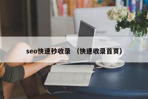 seo快速秒收录 （快速收录首页） - SEO百科 - 爱网站