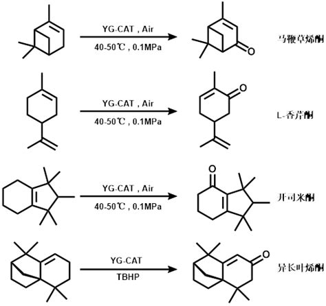 铜催化的末端联烯与1,3-二羰基化合物区域和立体选择性烯丙基化_CBG资讯