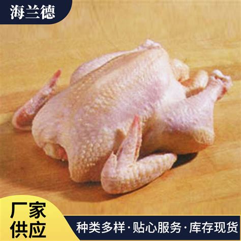 [白条鹅批发]白条鹅 贵州生态鹅出售 大概500只左右价格8元/斤 - 惠农网