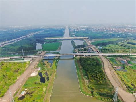 姜堰绿色长廊：周山河、通扬河林场_聚焦泰州
