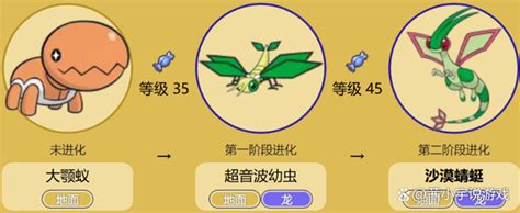 宝可梦沙漠蜻蜓为什么是龙耻_东方体育