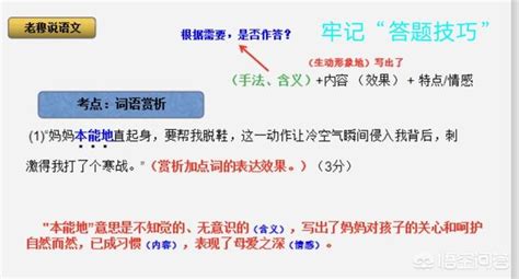 大学生培养计划PPT模板下载_编号lynmoweq_熊猫办公