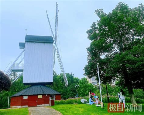 满满的回忆！武汉关山公园“15岁”的大风车再次转起来了凤凰网湖北_凤凰网