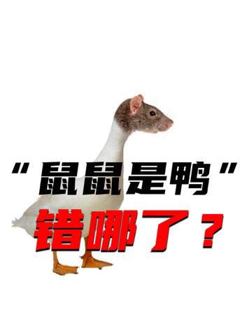 “鼠头鸭脖”事件最新进展：江西多部门成立联合调查组，将及时公布有关情况_腾讯视频